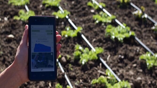 Encontrar cosechas por Whatsapp, un paso más en la digitalización del sector