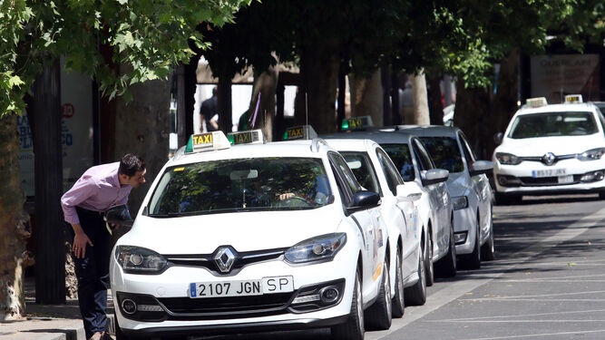 Un hombre se dispone a coger un taxi en una de las paradas de Córdoba.
