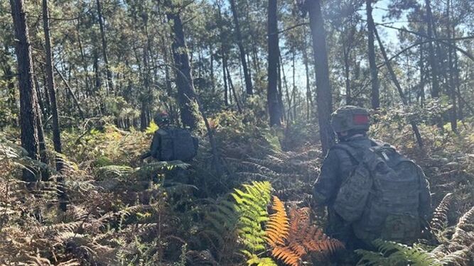 Práctica en las jornadas de combate en bosques.