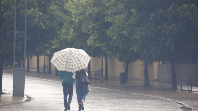 Dos personas se protegen de la lluvia en Córdoba.