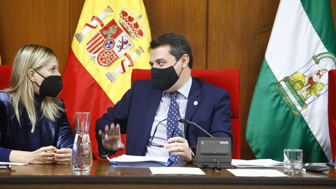 El alcalde de Córdoba, José María Bellido, en el Pleno de este jueves.