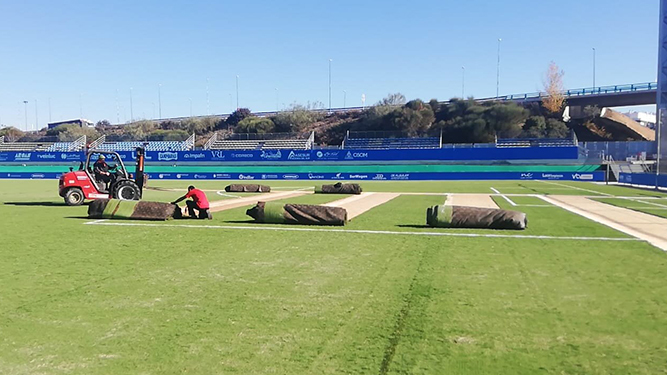 Inicio de los trabajos de renovación del césped del estadio Ciudad de Lucena.