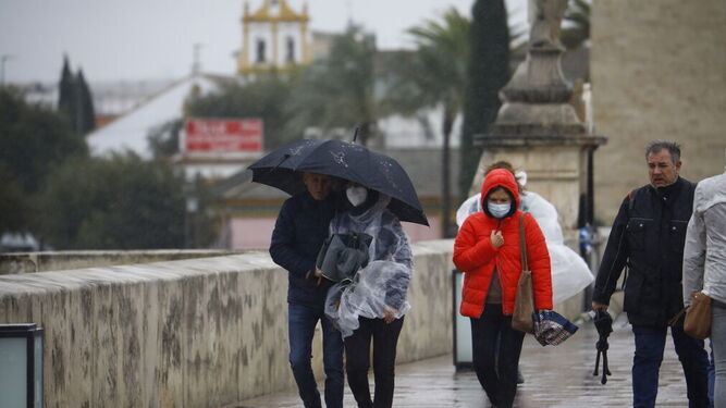 Varias personas caminan por el Puente Romano de Córdoba.