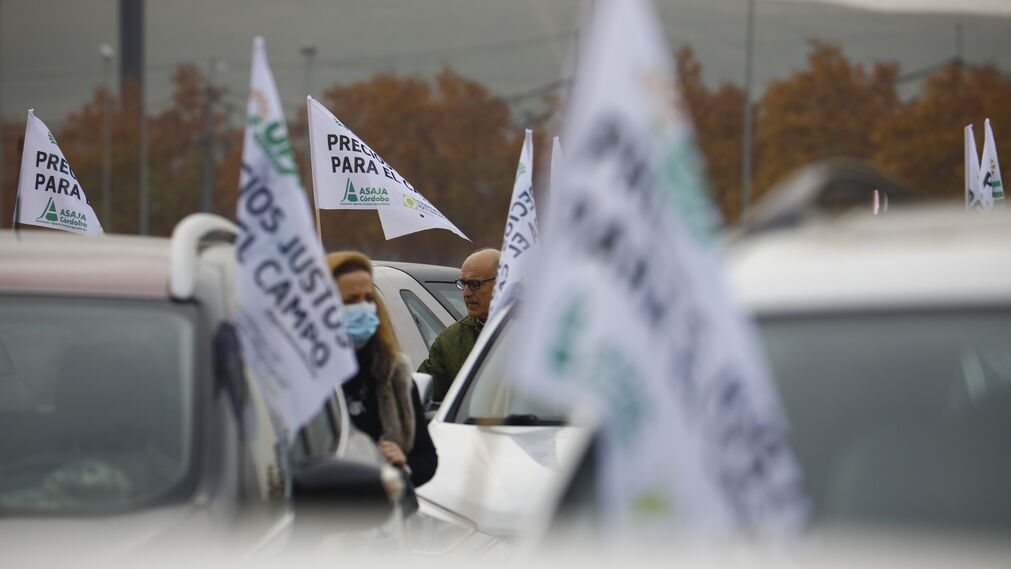 La marcha de protesta del sector agr&iacute;cola en C&oacute;rdoba, en im&aacute;genes