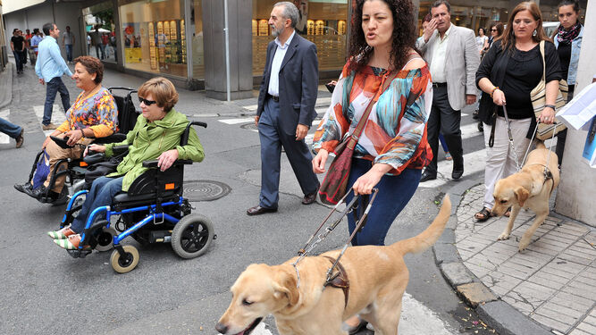 Un par de personas pasean por la calle con su perro de asistencia