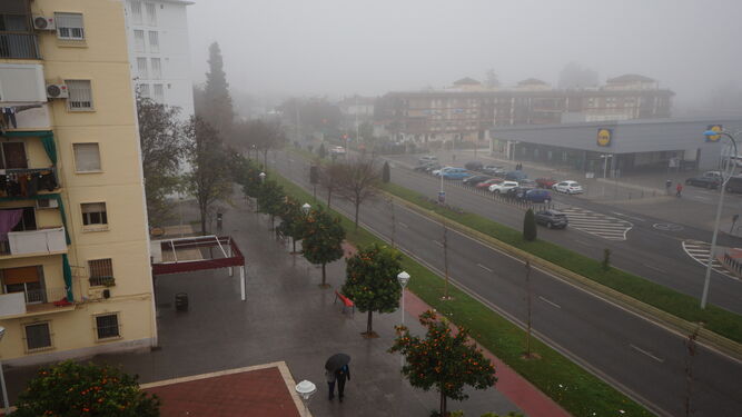 La avenida de Cádiz, cubierta de niebla este martes.