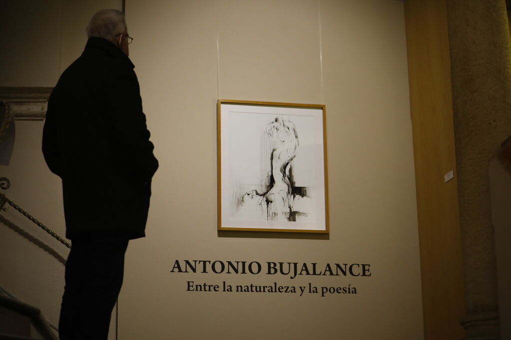 'Entre la naturaleza y la poes&iacute;a': as&iacute; es la obra del pintor Antonio Bujalance en el Bellas Artes