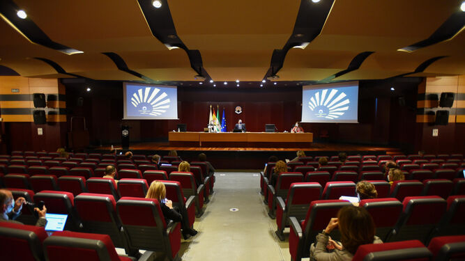 Un momento del Consejo de Gobierno de la Universidad de Córdoba.