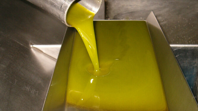 Aceite de oliva recién molturado.