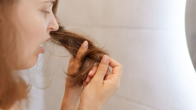 Mejores alimentos para combatir la alopecia y frenar la caída del cabello