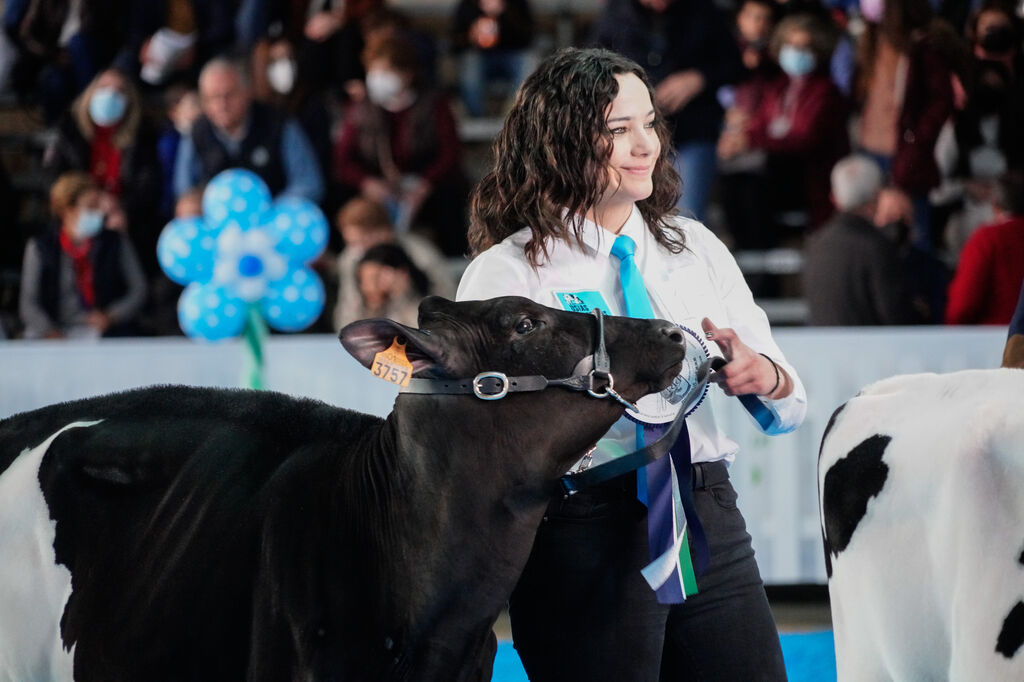 La Feria de Ganado Fris&oacute;n Us&iacute;as Holsteins de Dos Torres, en fotograf&iacute;as