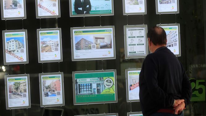 Una persona observa anuncios de alquiler de viviendas de una inmobiliaria.