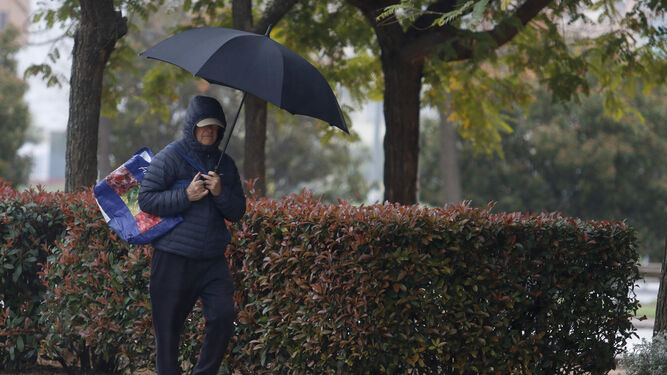 Una persona se protege de la lluvia bajo un paraguas en Córdoba.