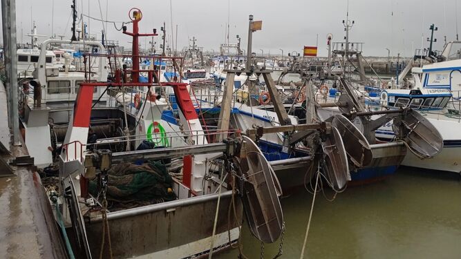 La flota pesquera de Sanlúcar estará amarrada a puerto desde este miércoles.