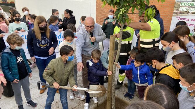 Los alumnos del colegio San Ignacio plantan un naranjo para celebrar el Día del Árbol en San Fernando.