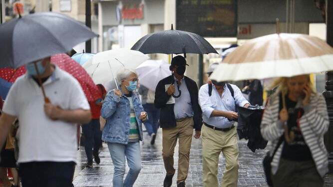 Viandantes con paraguas por el centro de Córdoba.