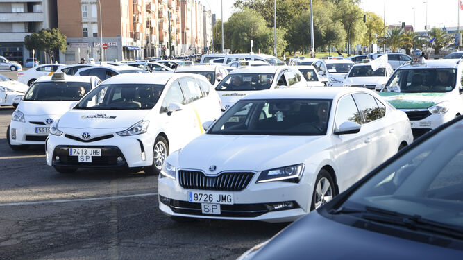 Una concentración de taxistas de Córdoba.