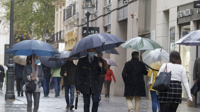 Varias personas caminan bajo la lluvia en una calle del centro de Córdoba.