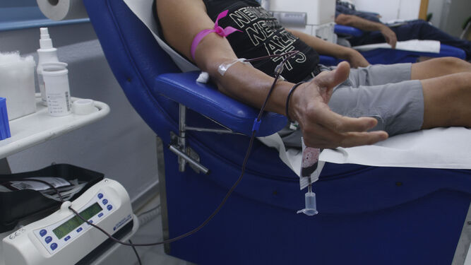Un voluntario dona sangre en el Centro de Transfusiones de Sevilla.