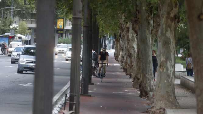 Un hombre circula por el carril bici de la avenida Cervantes.