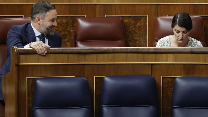Santiago Abascal y Macarena Olona, en el Congreso.