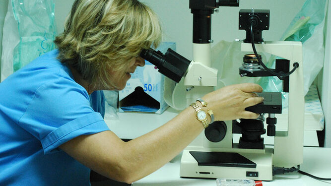 Una investigadora observa unas muestras a través de un microscopio.