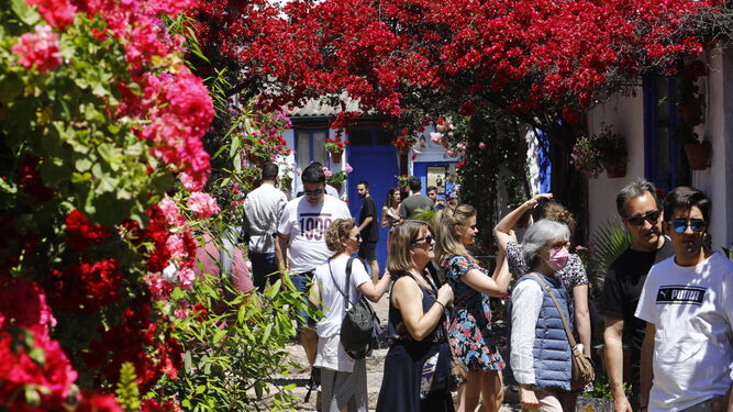 Visitantes en los Patios de Córdoba el pasado fin de semana.