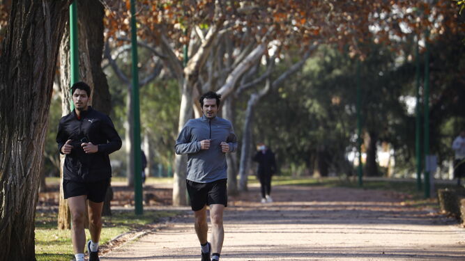 Dos hombres hacen ejercicio en el Parque Cruz Conde.