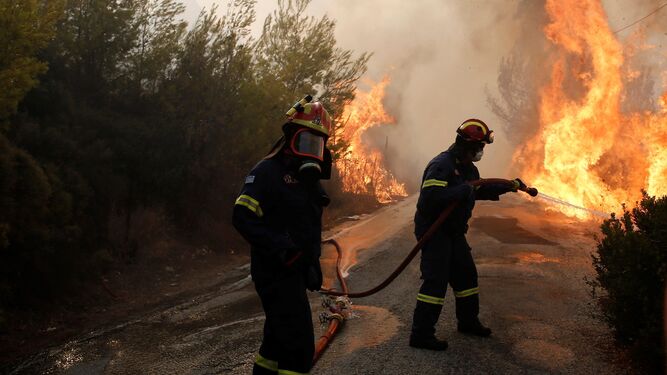 Bomberos en la extinción de un incendio cerca de una carretera.