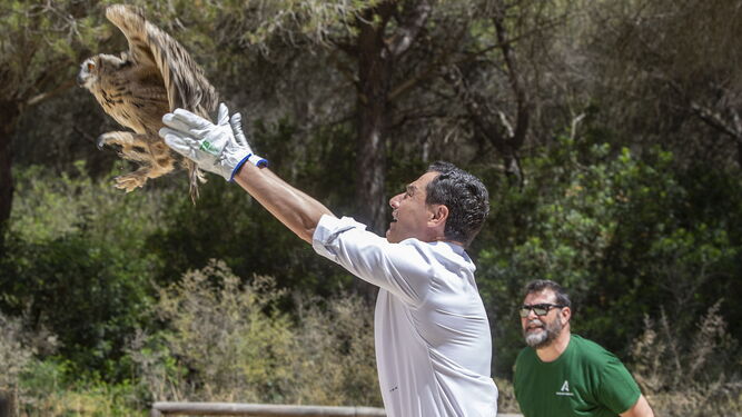 Moreno suelta un búho en Chiclana en la campaña electoral