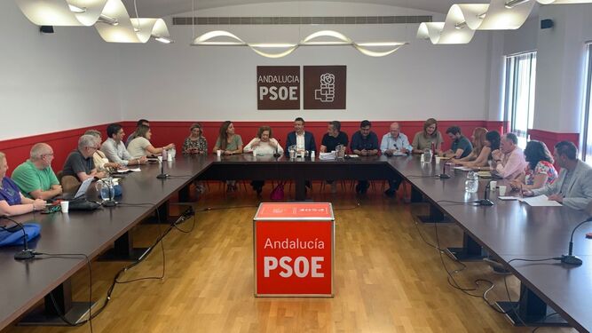Ejecutiva del PSOE provincial de Sevilla celebrada este lunes.