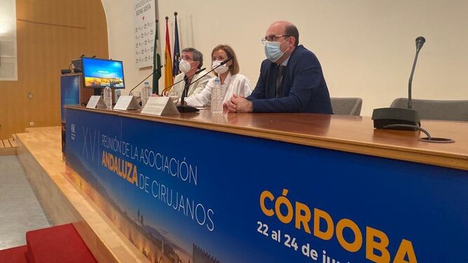 Mesa inaugural de la reunión de la Asociación Andaluza de Cirujanos.