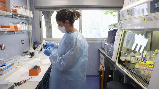 Obtienen la secuencia completa del virus de la viruela del mono en España.