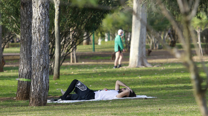 Una persona descansa en el césped del Parque Cruz Conde.