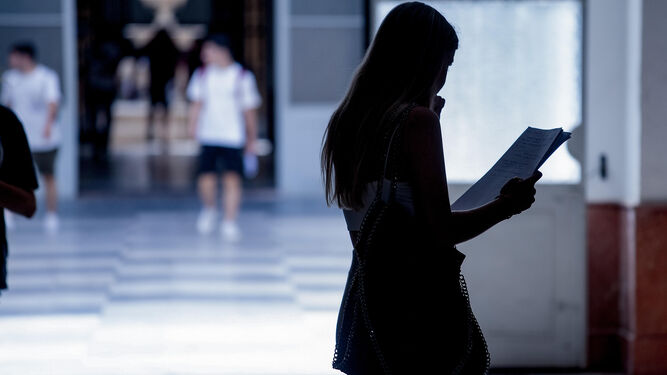 Una estudiante repasa los apuntes antes de los exámenes de Selectividad en la US.