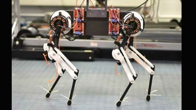 Diseñan un perro robot que aprende a caminar en solo una hora y usando menos energía