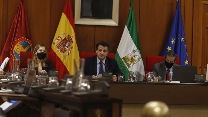 El alcalde de Córdoba, José María Bellido, en una sesión plenaria reciente.