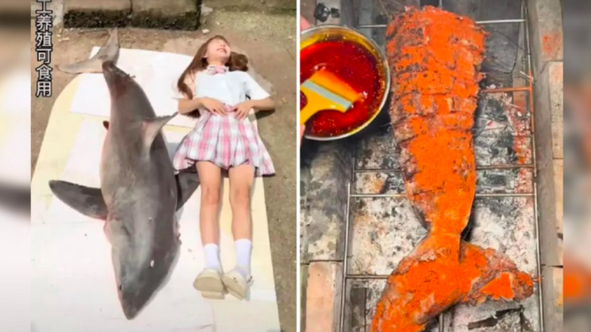 Una vídeo-bloguera, bajo investigación en China por cocinar un tiburón blanco