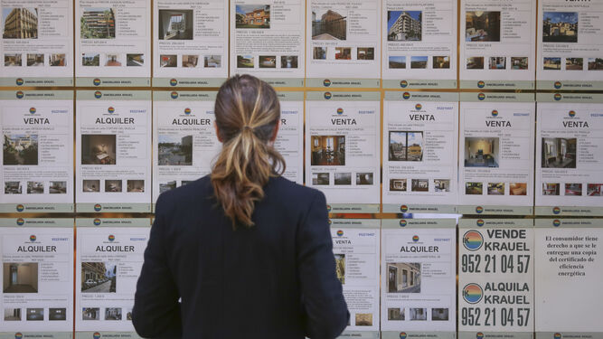 Una mujer observa las ofertas de pisos en una inmobiliaria.