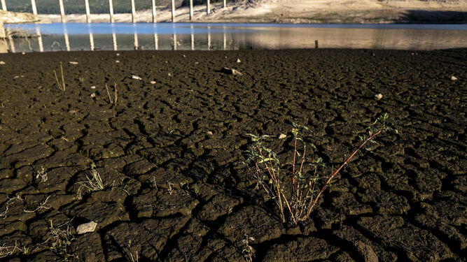 Tierra seca en un pantano.
