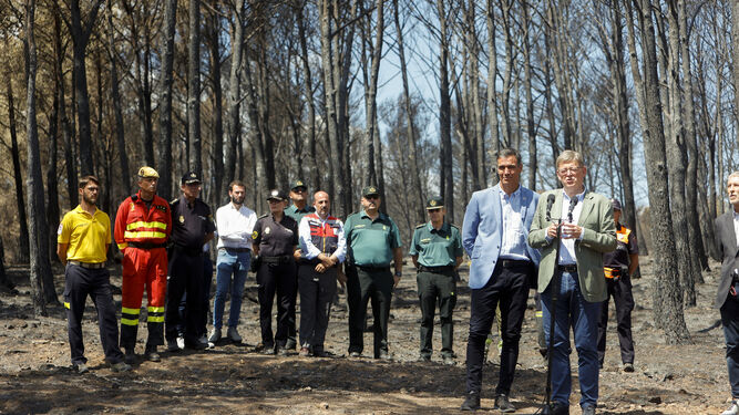 En la imagen, el presidente del Gobierno, Pedro Sánchez, junto al president de la Generalitat, Ximo Puig, y el ministro del Interior, Fernando Grande Marlaska, visitando las zonas afectadas por el incendio forestal de Bejís.