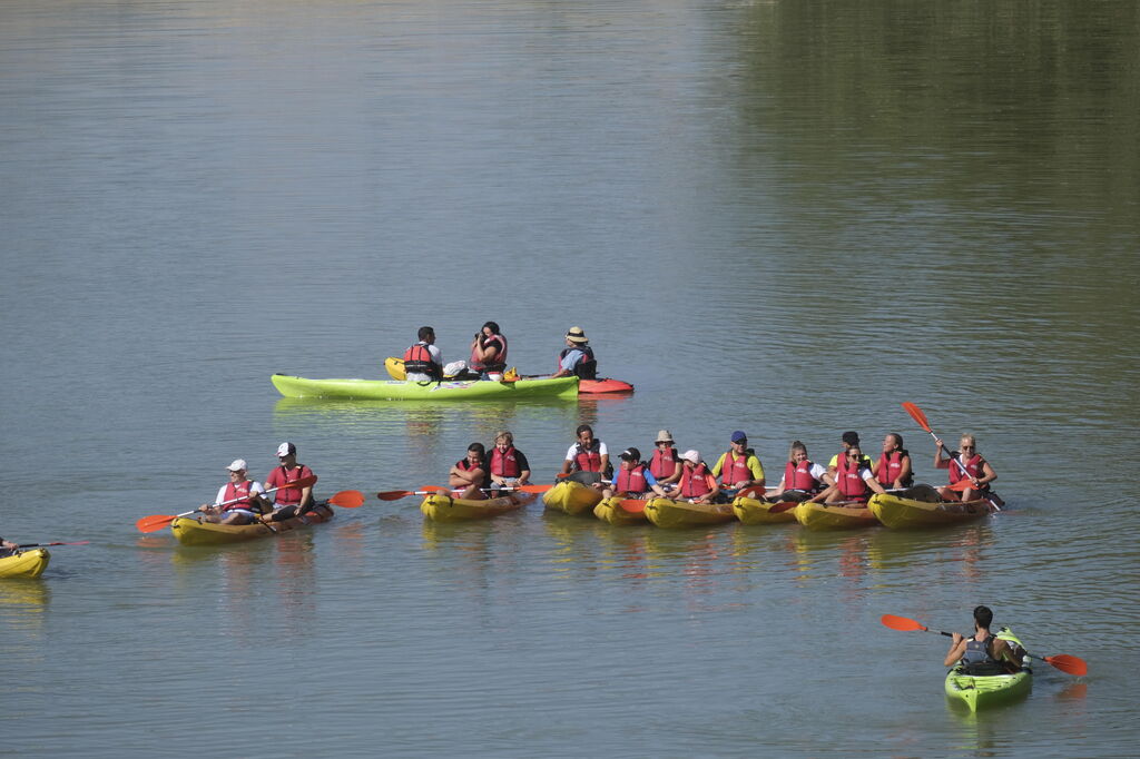 La ruta en kayak por el Guadalquivir de C&oacute;rdoba se echa al agua, en im&aacute;genes