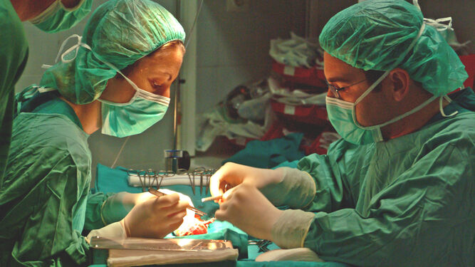 Una imagen de un trasplante renal realizado en Sevilla.