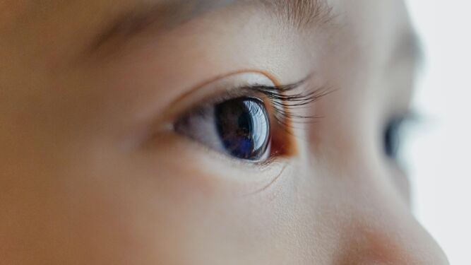 El cuidado propio de la vista de un niño le garantizará una infancia sana y un crecimiento adecuado