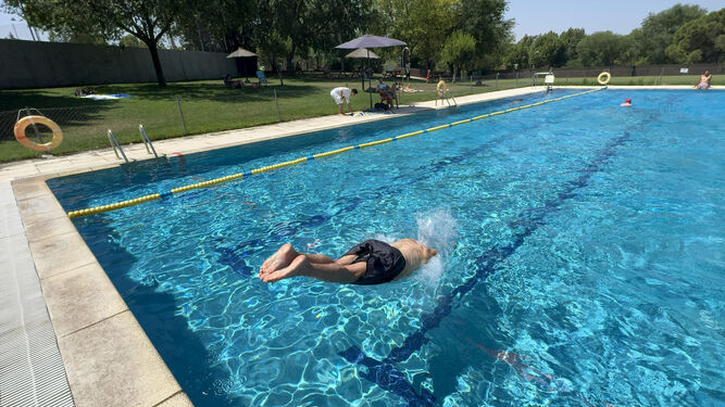 Un hombre se zambulle en una piscina.