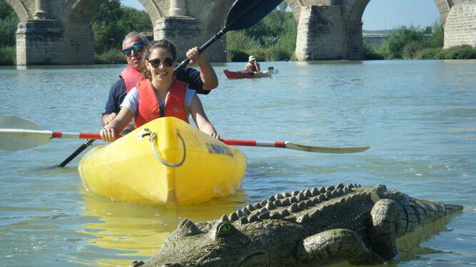 Participantes de la última edición de la Ruta del Caimán en kayak de Córdoba.