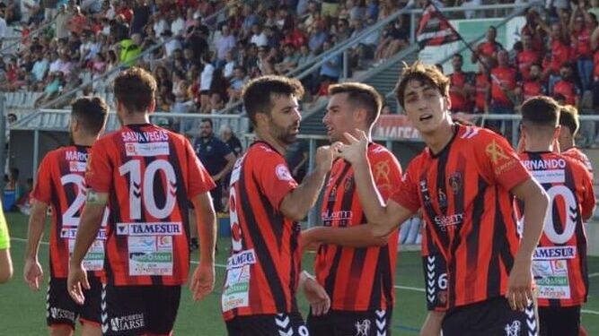 Los jugadores del Salerm celebran un gol en el Manuel Polinario.