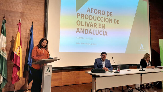 Presentación del aforo del olivar en Andalucía para la campaña 22-23.