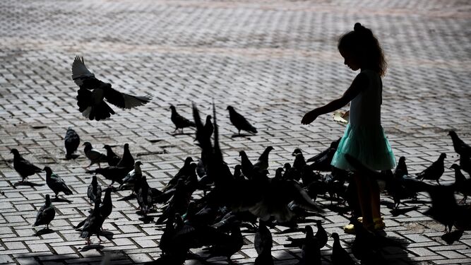Una niña alimenta palomas.