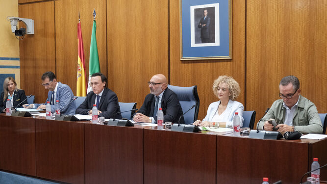 Gómez Villamandos interviene en la comisión del Parlamento.